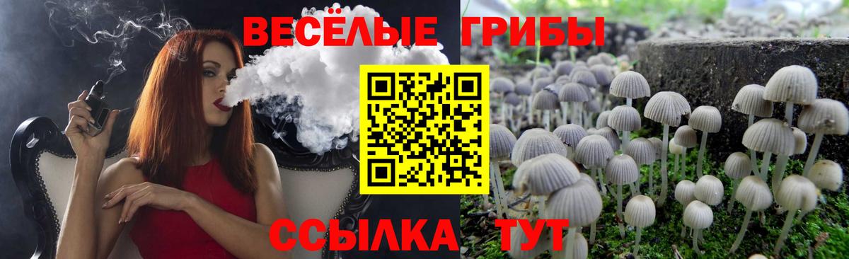 Галлюциногенные грибы Psilocybe Приморско-Ахтарск